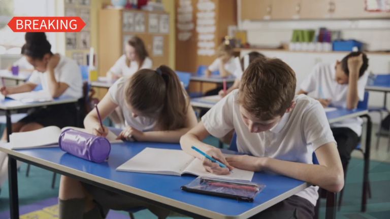 Pupils in school-class