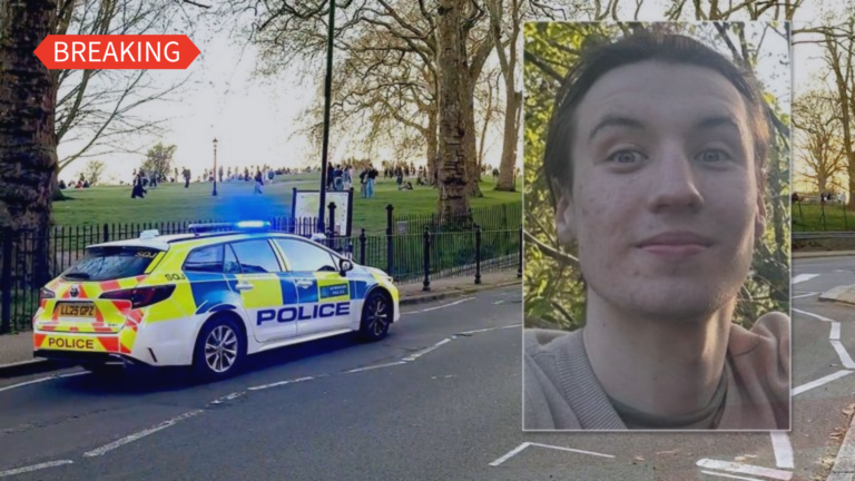 primrose film student stabbed