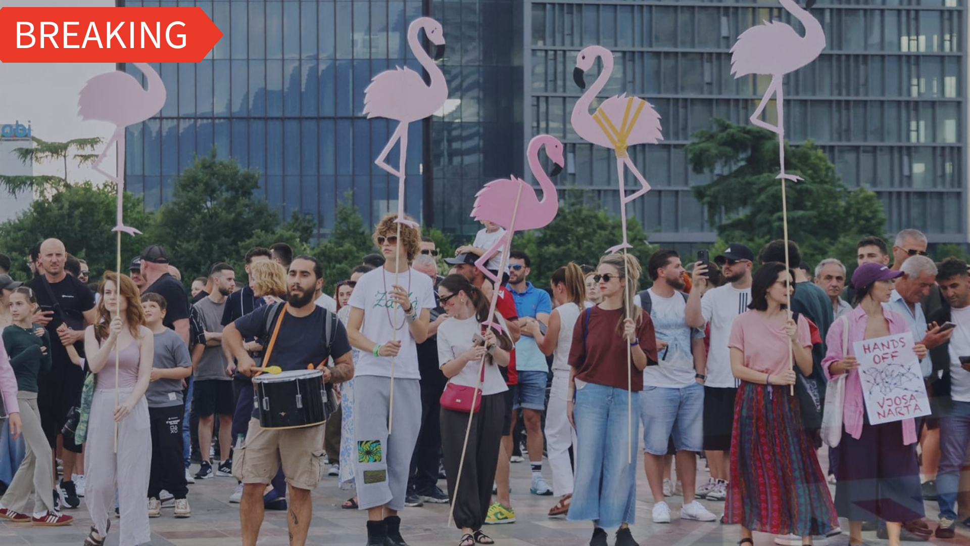 albania-protests-jared-kushner-luxury-resort-wildlife